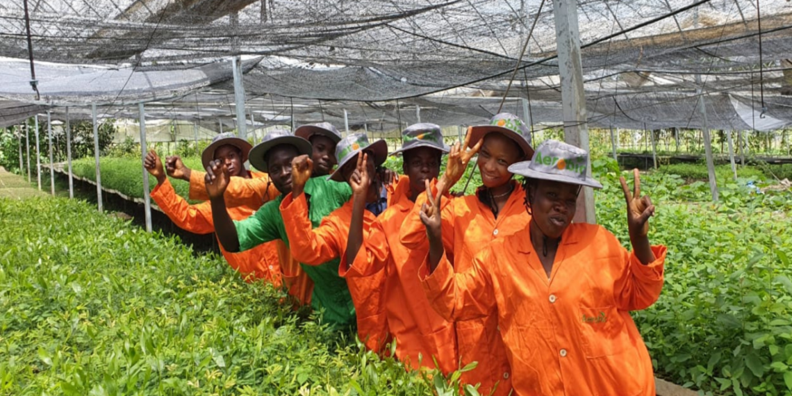 Sustainable Business Solutions in Africa